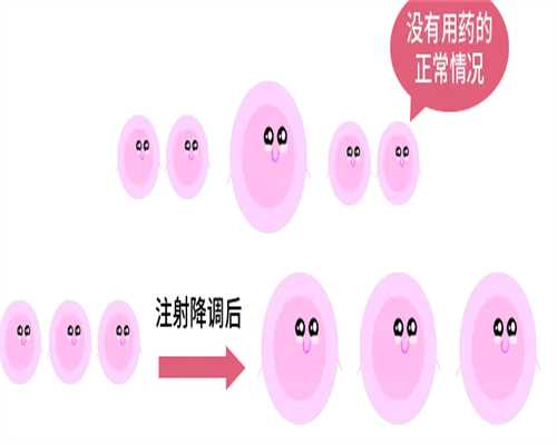 北京正规代妈公司|泰国第三代试管助孕医院:供卵试管宝宝的健康与风险解析