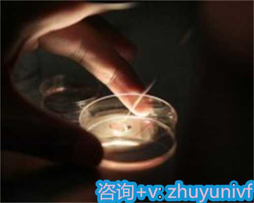 上海代生儿子公司,让代怀生子变得更加美好和深情