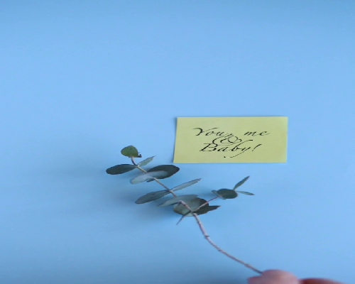 供卵包男孩费用方法全解析