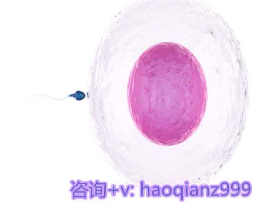 《逆流而上的你》大结局揭晓:邹凯与高蜜命运转折点