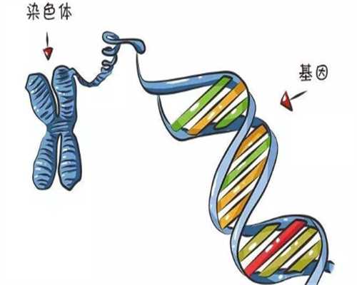 江西三代试管费用明细与防骗指南，助您实现生育梦想