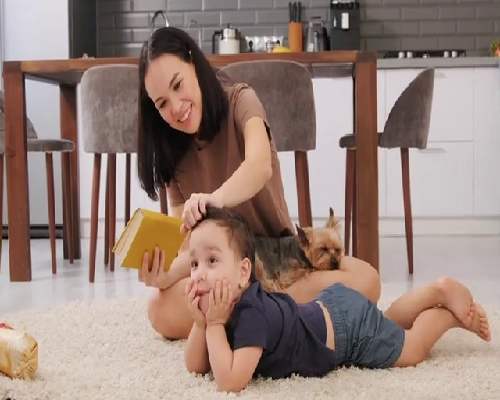 供卵市场安全解析,助你圆梦家庭