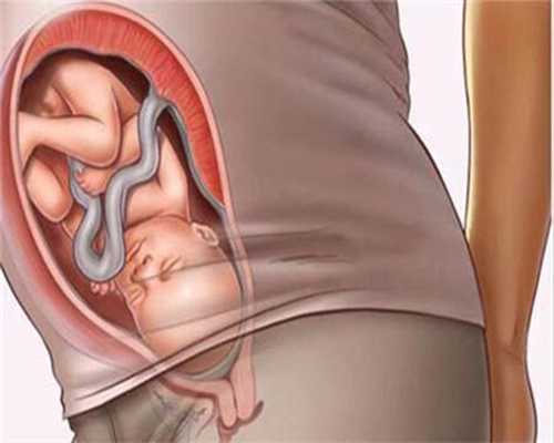 上海专业代怀服务助您家庭迎来健康新生命