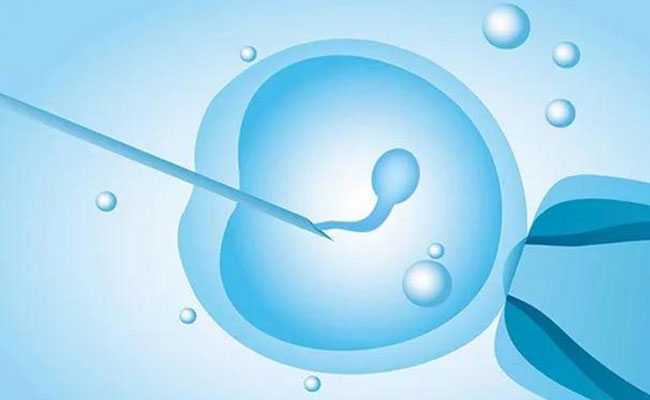 沈阳输卵管堵塞治疗与试管婴儿助孕指南