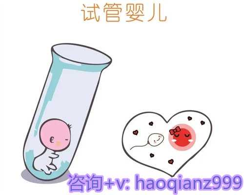 2026年湛江供卵试管助孕医院排名与现状解析