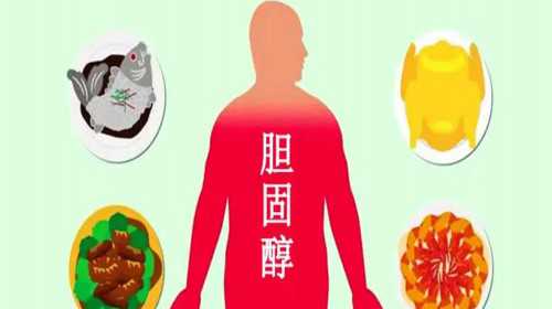 供卵三代试管婴儿费用解析与防骗指南