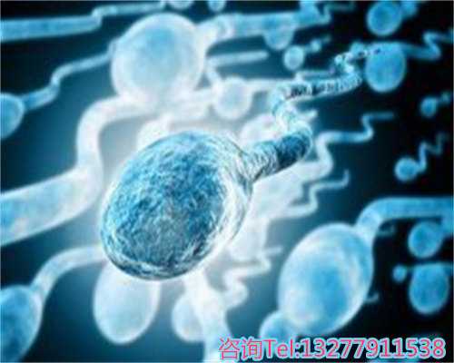 助孕费用新时代的幸福探索