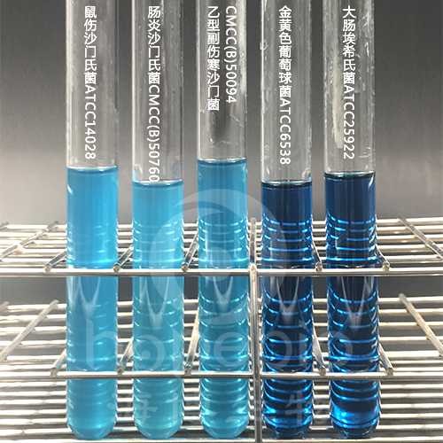 如何解决代生难题，试管助孕公司提供专业建议