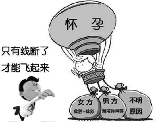 试管婴儿成功率解析与助孕注意事项