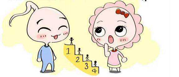 上海代生安全指南与代怀生子机构选择要点