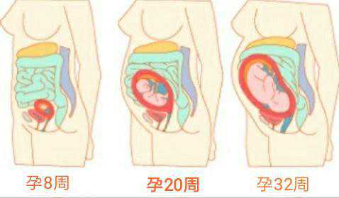 三代试管选性别助孕流程及代妈招聘解析