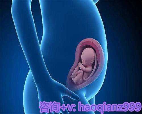 电动吸奶器使用指南：母乳喂养更便捷高效